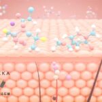セラミドの分子構造: セラミドの分子構造を表現。肌の潤いを保つ重要な成分。