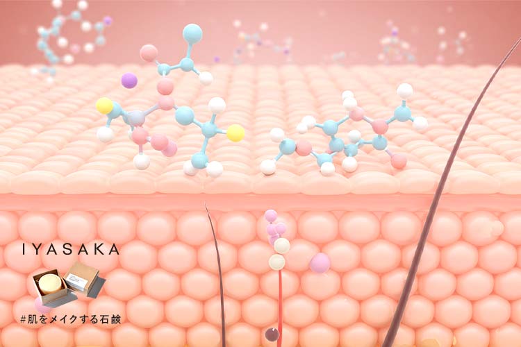 セラミドの分子構造: セラミドの分子構造を表現。肌の潤いを保つ重要な成分。